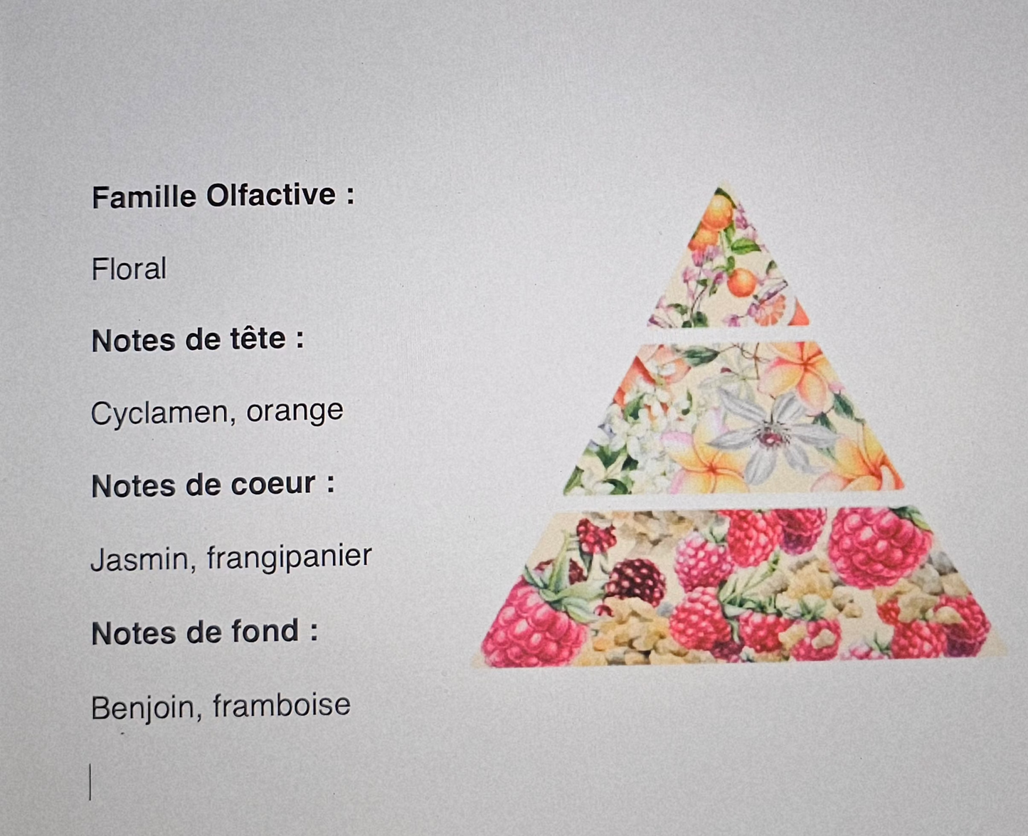 ELEGIE sable et nuage